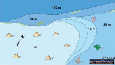 Kalifushifaru Corner